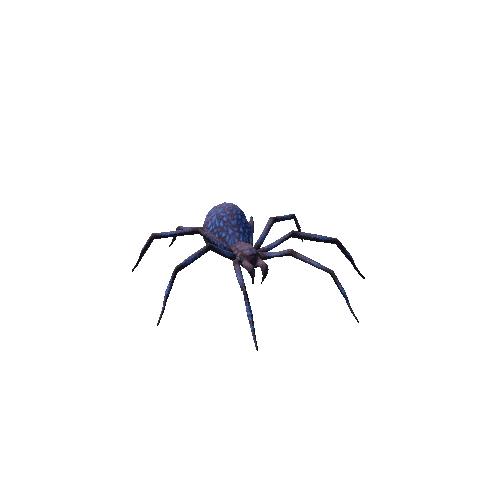 spider rgl_02